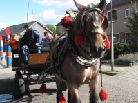 Foto bij paard en wagen