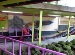 Foto van album Schoolreisje groep 3 en 4